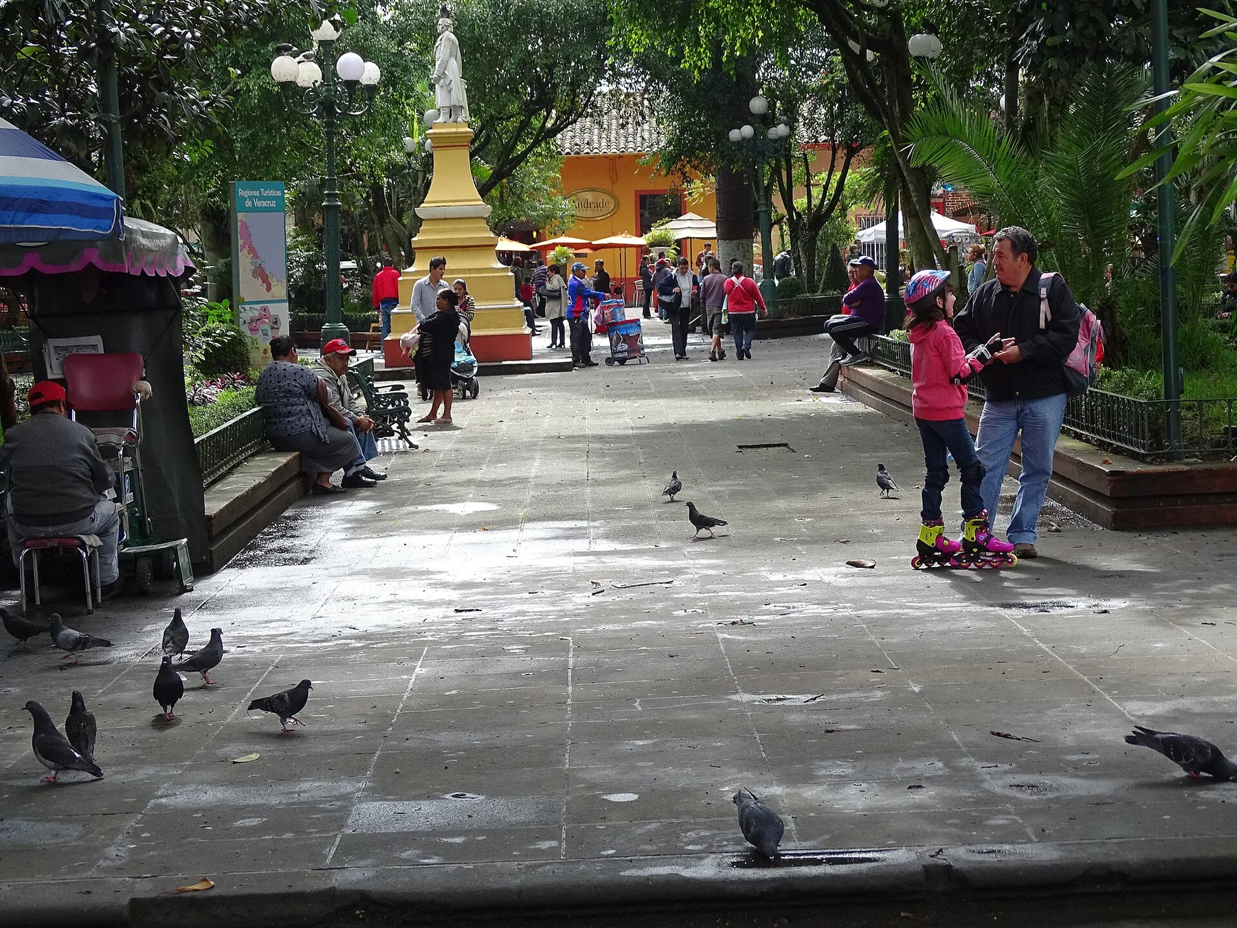 Descubre Coatepec, Veracruz