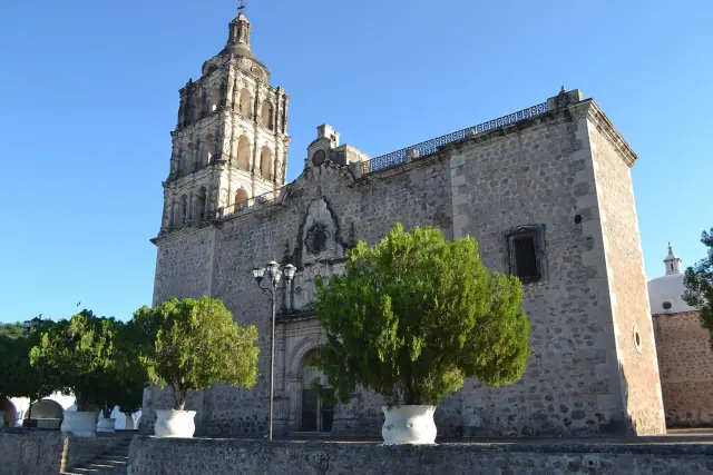 Paisaje de Álamos
