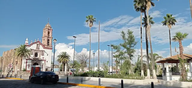 Paisaje de Pabellón de Hidalgo