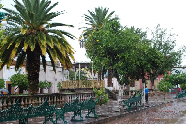 Paisaje de Teúl de González Ortega