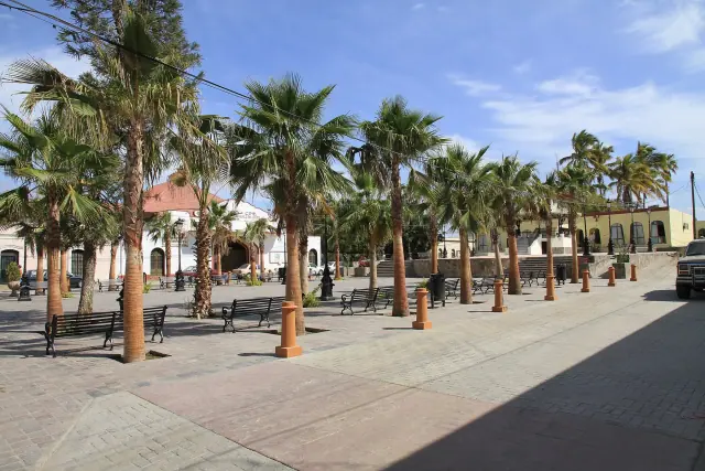 Paisaje de Todos Santos